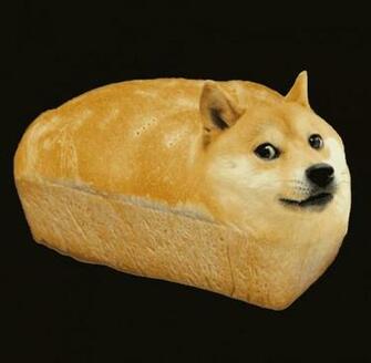 Shibe Doge Twinkie Wallpaper World