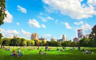 Central Park Wallpaper