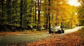 Leaves Nissan Wallpaper Wallpoper