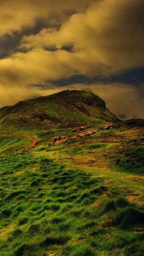 Nature Nexus Wallpaper HD And Background
