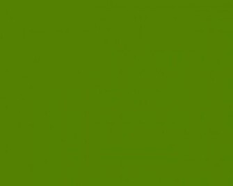 Avocado Solid Color Background And The Below