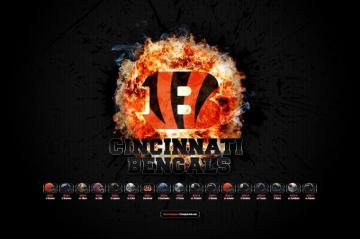 Cincinnati Bengals Background Data Src Computer