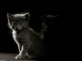 Black And White Desktop Wallpaper On Latoro