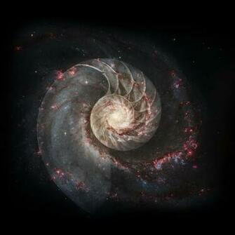 Best Pantheist Wallpaper