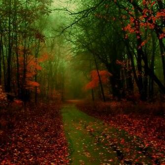 Misty Autumn iPad Air Wallpaper iPhone
