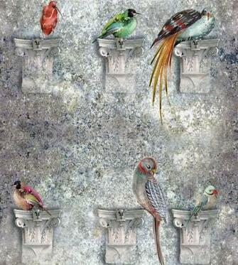 Perched Wallpaper By Louise Body Jane Clayton