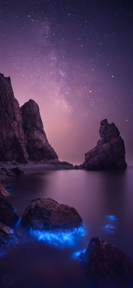 Xiaomi Full HD Wallpaper