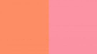 Resolution Salmon And Pink Solid Two Color Background