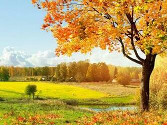 Full HD Courtesy Wallpaper Net Cc Pixdaus