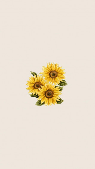 Sunflower Aesthetic iPhone Wallpaper