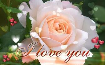 Rose I Love You Wallpaper HD Desktop S