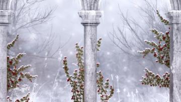 Winter Columns And Flowers