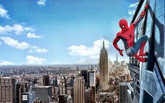 Tom Holland HD Wallpaper Background Image