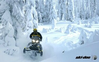 Wallpaper Sports Ski Doo