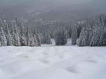 Killington Mountain Wallpaper Top