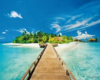 Summer Holidays Art Prints And Posters