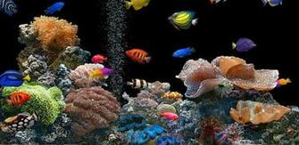 Techclones Ocean HD Live Wallpaper For Android Smartphone And Tablet
