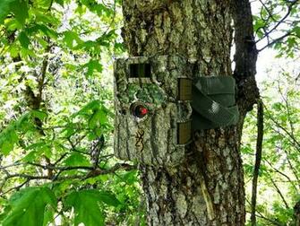 Camo Browning Logo Wallpaper The Recon Force Trail