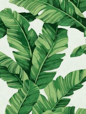 Tisa On Wallpaper Plant Painting Leaf Art