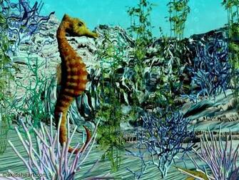 Seahorse Desktop Wallpaper Pictures