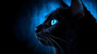 Cat Art Wallpaper