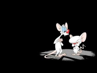 Pinky And The Brain Wallpaper Wallpaperholic