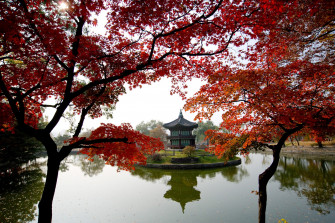 South Korea Travel Guide