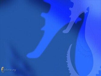 Wallpaper Db Seahorse