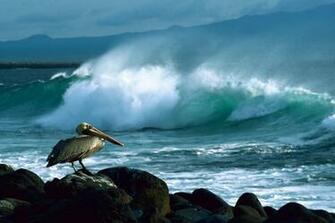 Cool Ocean Wallpaper Part X Y D Ng