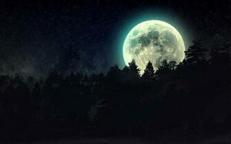 Full Moon Beyond The Pines Wallpaper
