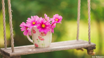 Spring Flowers Wallpaper