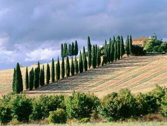 Orcia Italy Wallpaper Desktop HD