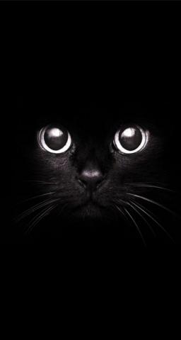 Pin En Wallpaper
