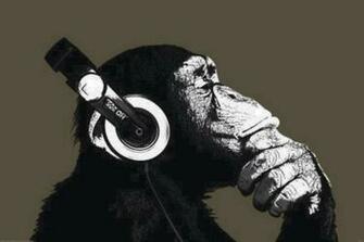 Ape Wallpaper