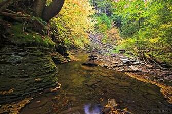 From Sixmile Creek In New York