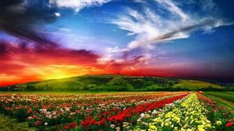 Nature Wallpaper Full HD