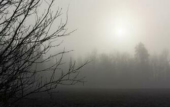 Fog Wallpaper