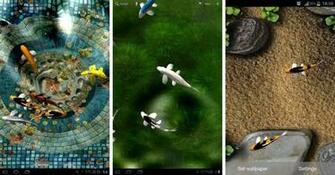 Beautiful Best Paid Live Wallpaper Koi Wallpaper55