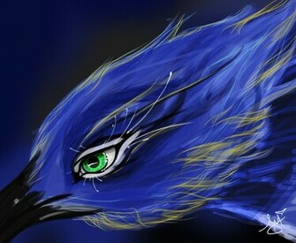 Blue Jay By Toxicunique Dcj Wallpaper Full HD