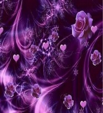 Color Roses Flowers Of Purple Colors New Collection Rose