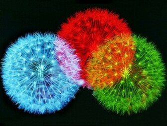 Abstract Color Blow Me 3d And Cg HD Desktop Wallpaper
