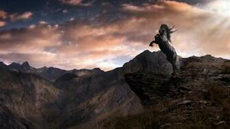 Horses Wallpaper Desktop