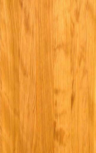 Birch Wood Grain Lifeproof Apple iPad Air Case Nuud Mightyskins