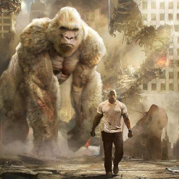 Ram Orangutans iPad Pro Wallpaper