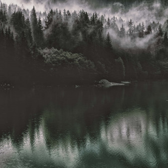 Dark Nature Wallpaper