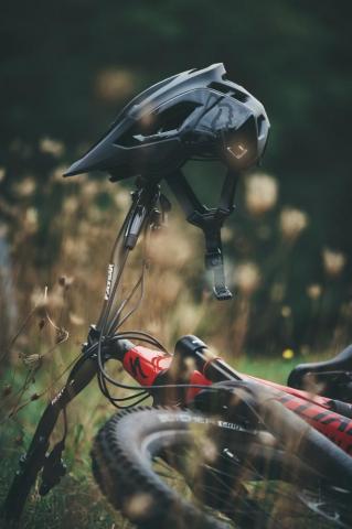 Specialized Pictures Image