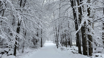 White Christmas Most Of Us Can Keep Dreaming The Hill