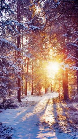 Wallpaper Nature Winter On