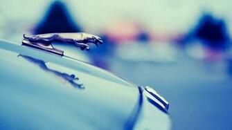 HD Wallpaper Car Jaguar Logo 1080p