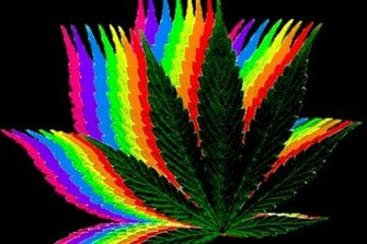 Crazy Weed Background Wallpaper Trippy